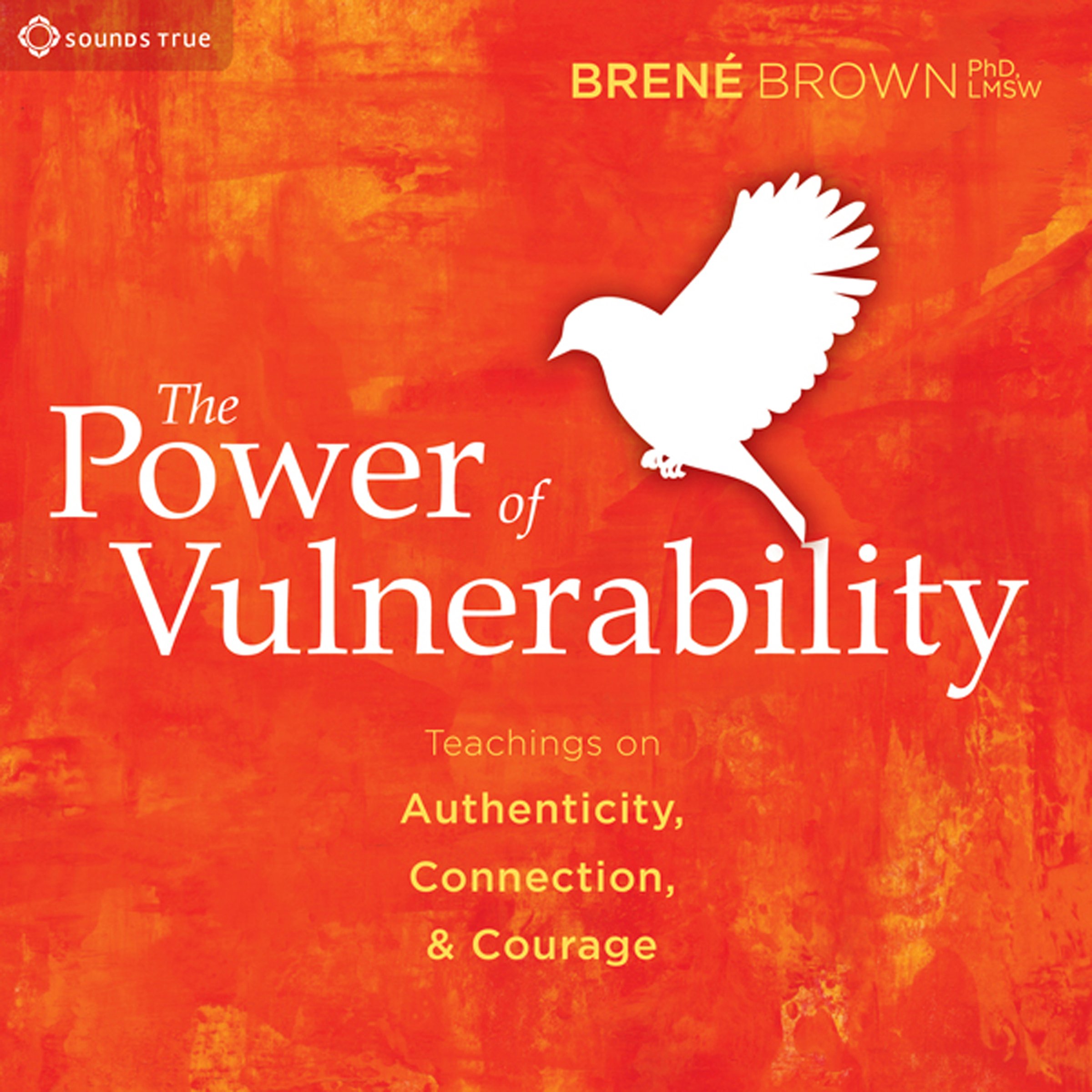 The Power of Vulnerability